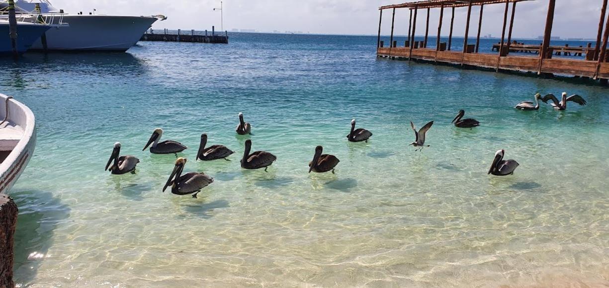 Walk Barefoot To Beach! Two Bathrooms! Entire Private Sailboat Hotel en barco Isla Mujeres